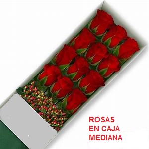 Envio y venta de flores ,rosas, plantas,arreglos florales ,regalos y desayunos a domicilio con delivery gratis en la Ciudad Autonoma de Buenos Aires y con costo de env�o en localidades del Gran Buenos Aires asi como delivery de flores y plantas a trav�s de florerias asociadas en todas las provincias de la Argentina, Buenos Aires, la Pampa, Tucuman, La Rioja, R�o Negro, Entre Rios, Corrientes, Misiones, Neuquen, Chubut, Tierra del Fuego, Santa Cruz, San Luis, Mendoza, Cordoba, Jujuy, Formosa, Santiago del Estero, Salta, Chaco, Catamarca ,San Juan, y ademas realizamos el delivery de flores ,coronas,palmas , plantas y regalos a todas las ciudades de Argentina, Mar del Plata, C�rdoba, Buenos Aires, con cargo en Santa Rosa, La Plata, Bella Vista, Neuquen, Pilar, Paran�, Posadas, Resistencia, Cipolleti y mas de 300 ciudades y localidades en todo el territorio de nuestro pa�s, asi como tambien tenemos la posibilidad de enviar flores a casi todo el mundo en cuestion de horas